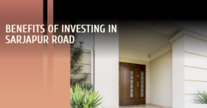 Reasons Why Invest in Sarjapur Road